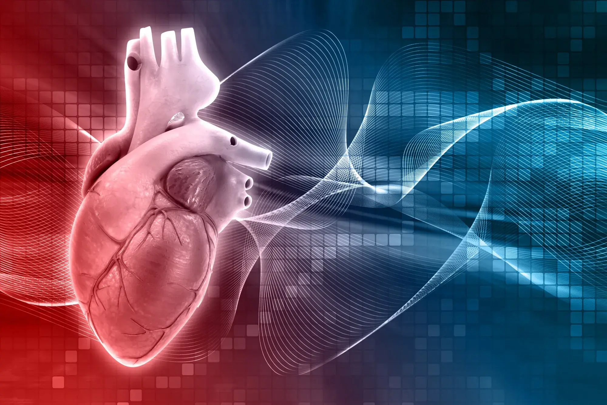 Coronary Bypass in Turkey Cost
