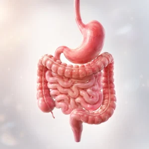 Gastroenterology