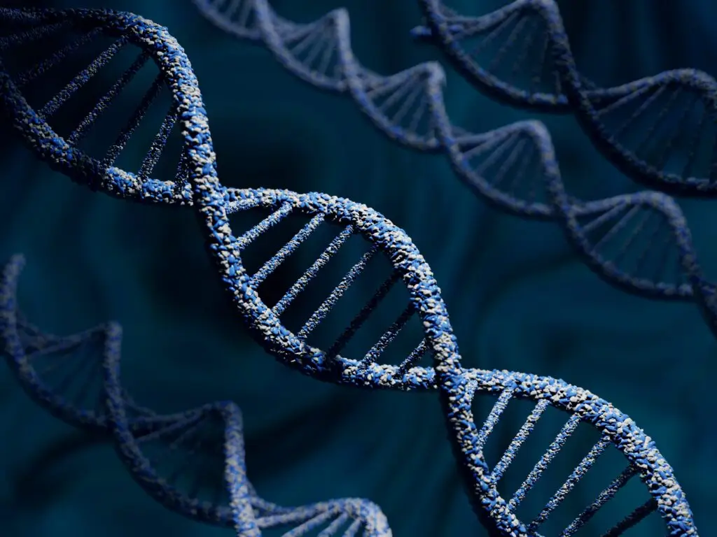 Preimplantation Genetic Testing in Athens, Greece by Ovagenesis — Fertility Procedure in Greece