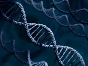 Preimplantation Genetic Testing in Athens, Greece by Ovagenesis — Fertility in Greece