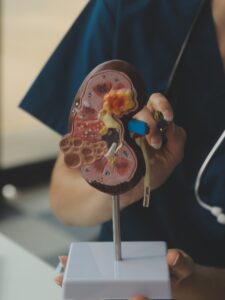Kidney Cancer Treatment Clinics and Procedures Abroad