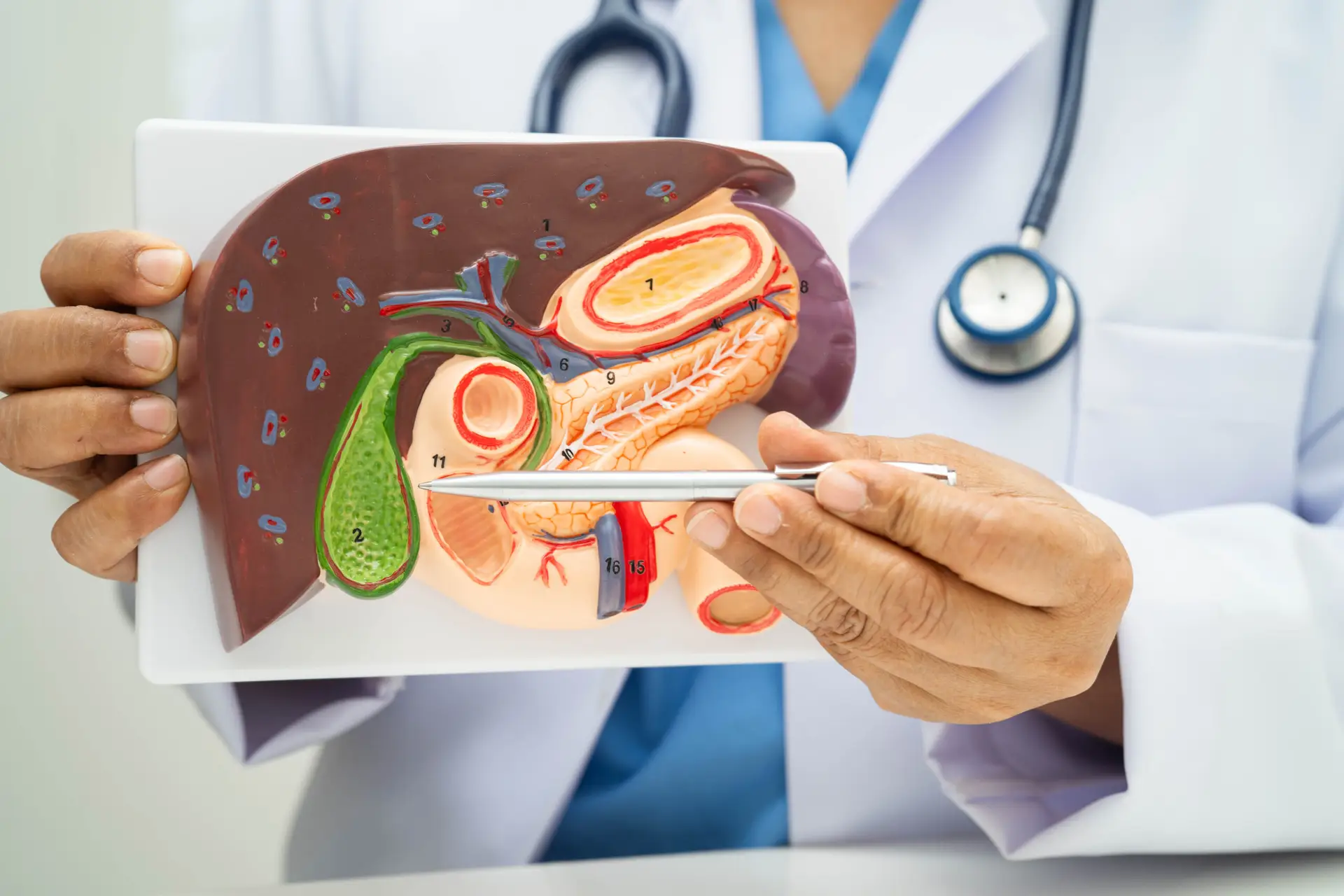 Gallbladder Cancer Surgery in Seoul, South Korea by Asan Medical Center — Procedure Gallery Photo