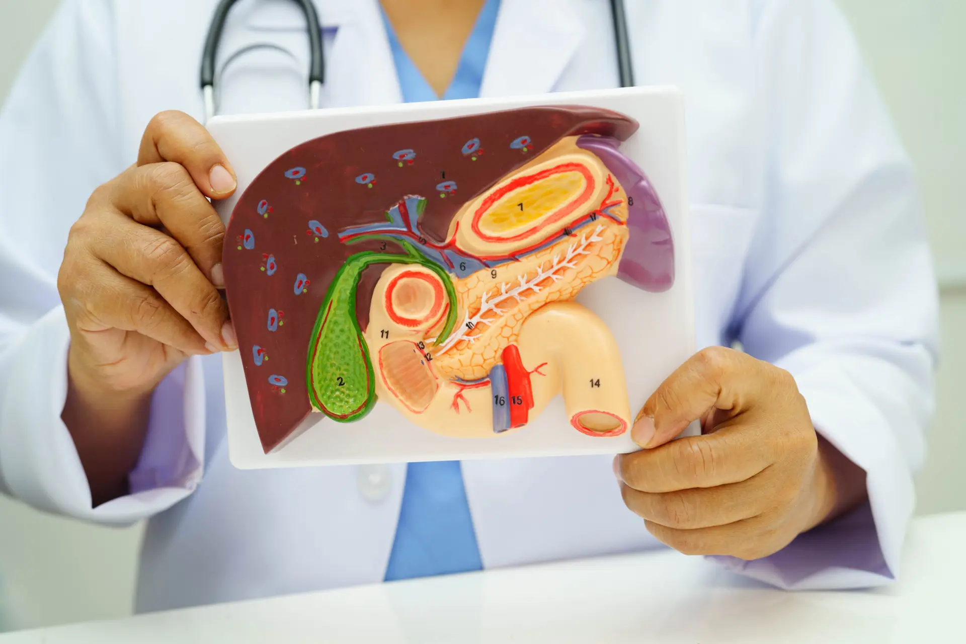 Gallbladder Surgery (Gallstones) in São Paulo, Brazil by Kaiser Clínica — Procedure Gallery Photo
