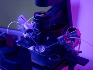 Embryo Implantation Failures Treatment in Athens, Greece by Ovagenesis — Fertility in Greece