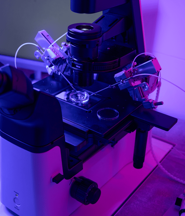 Embryo Implantation Failures Treatment in Athens, Greece by Ovagenesis