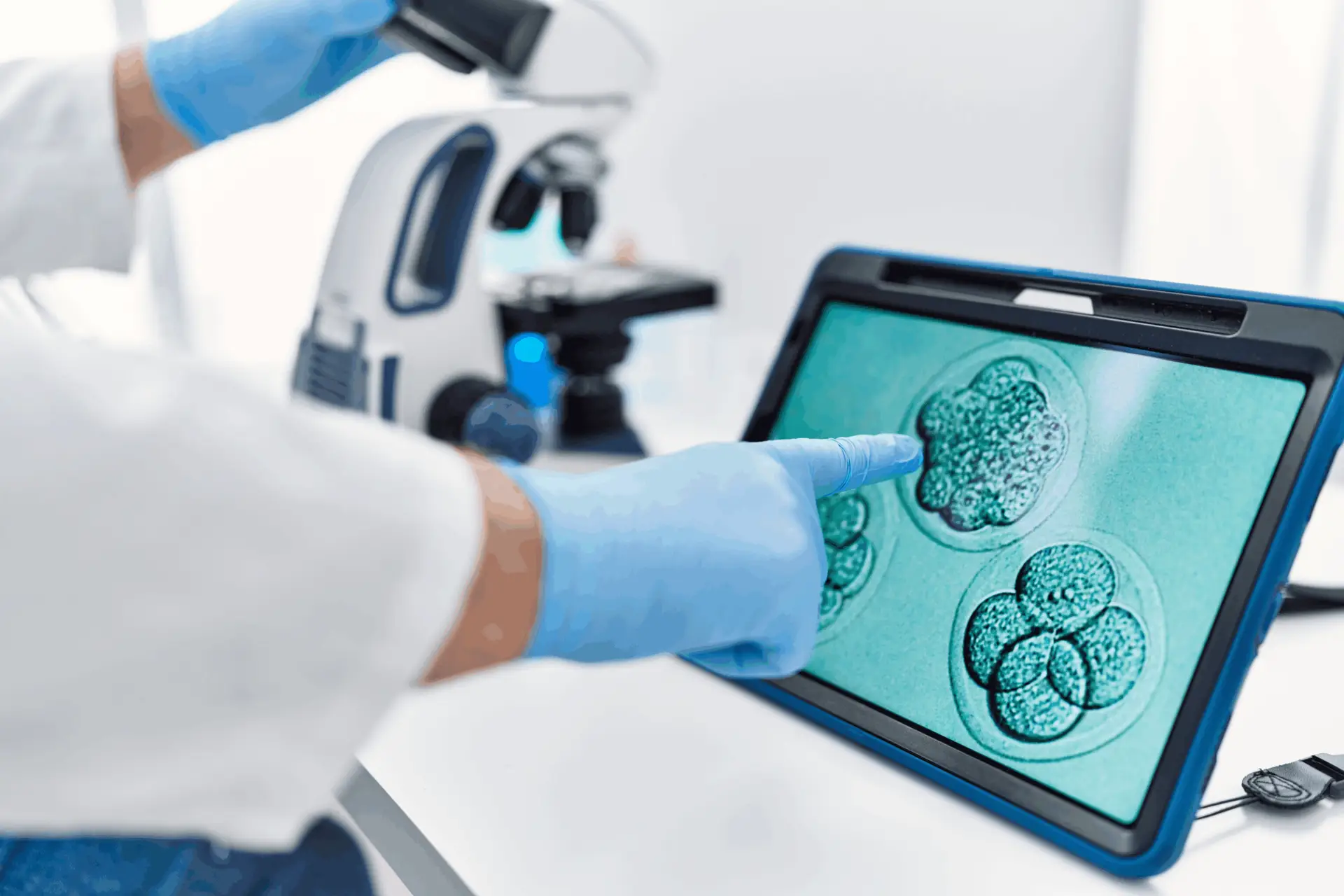 Mini IVF in Athens, Greece by Ovagenesis