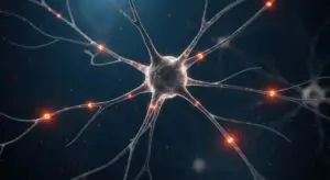 Epilepsy Treatment in Istanbul, Turkey by Avicenna Hospital