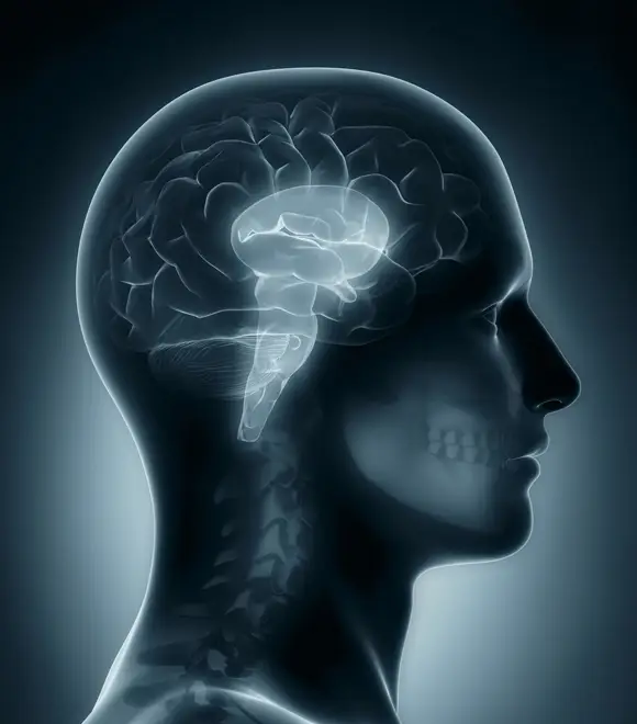Brain Tumor Surgery in Seoul, South Korea by Asan Medical Center — Oncology Procedure in South Korea