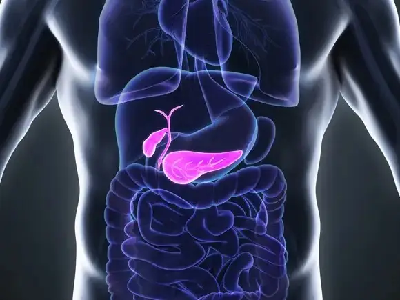 Gallbladder Cancer Surgery in Seoul, South Korea by Asan Medical Center — Oncology Procedure in South Korea