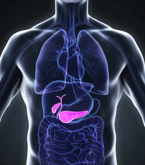 Gallbladder Cancer Surgery in Seoul, South Korea by Asan Medical Center