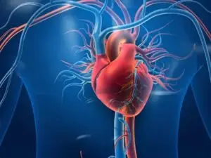 Robotic Surgery for Heart Disease in Seoul, South Korea by Asan Medical Center at Asan Medical Center — Cardiology Procedure Abroad