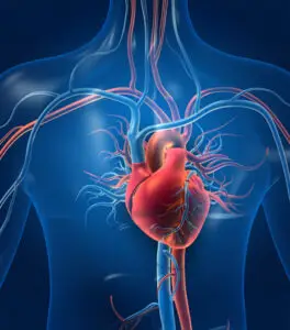 Robotic Surgery for Heart Disease in Seoul, South Korea by Asan Medical Center