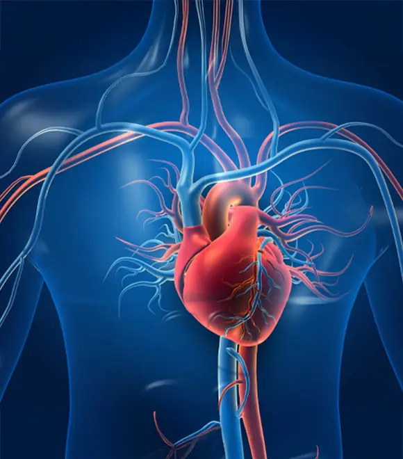 Robotic Surgery for Heart Disease in Seoul, South Korea by Asan Medical Center