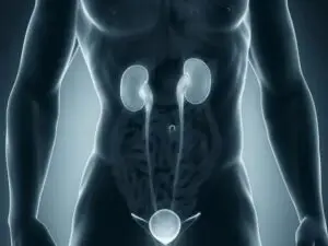 Kidney Cancer Surgery in Seoul, South Korea by Asan Medical Center — Oncology in South Korea