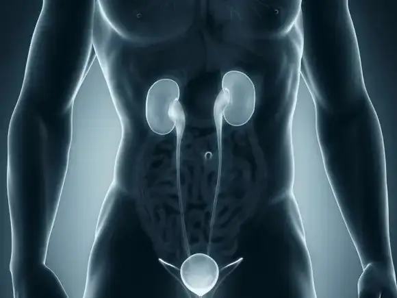 Kidney Cancer Surgery in Seoul, South Korea by Asan Medical Center — Oncology Procedure in South Korea