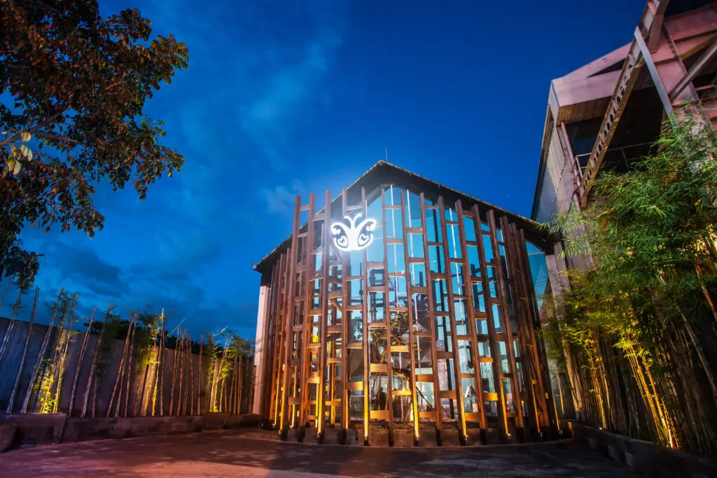 Cocoon Medical Spa — Hair Restoration Surgery Clinic in Indonesia