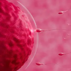 IVF With Donor Eggs Clinics and Procedures Abroad